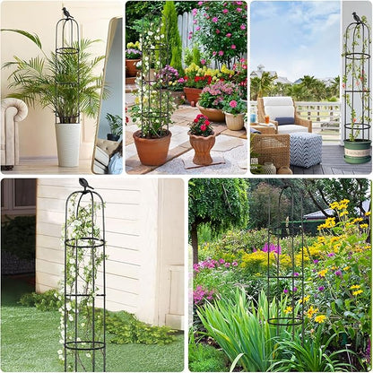 2 Pcs Garden Trellis for Climbing Plants, 6 Ft Rustproof Metal Pipe with Heavy Duty Plastic Coated, Garden Outdoor Indoor Potted Plant Support, Obelisk Garden Trellis for Climbing Vine