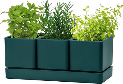 D'vine Dev Herb Garden Planter Set, Plastic Plant Pots with Drainage and Saucer, Indoor Succulent Cactus Vegetable Pot for Windowsill, Garden Balcony, Green, Set of 2, 76-V-C-2