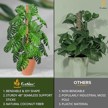 EcoNour Moss Pole for Plants – 48 inches | Monstera Plant Support for Plant Climbing and Growth | Elevate Your Indoor Garden, Plant Support for Indoor Potted Plants to Grow Upwards