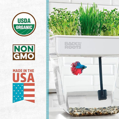 Back to the Roots Indoor Aquaponic Garden - 3 Gallon Self Watering, Mess-Free Planter and Self-Cleaning Fishtank for Herbs, Microgreens, Bamboo, Succulents, and Houseplants, support Fish