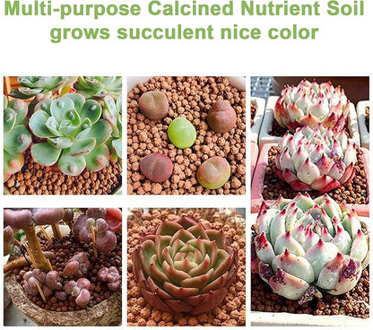 2.5lb Multi-Purpose Calcined Nutrient Soil for Lithops Succulent Cactus Promote Root Growth - Concave-Convex Shape Soil for Healthier, Stronger, and Larger Roots