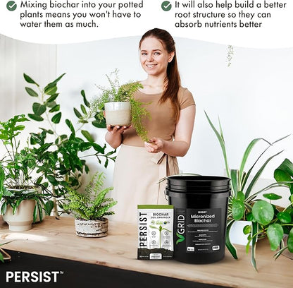 Persist Horticultural Charcoal 3qt Bag, Biochar Soil Amendment for Indoor Plants, Improves Soil for Terrariums, 100% Natural Active Carbon and House Plant Enhancer.