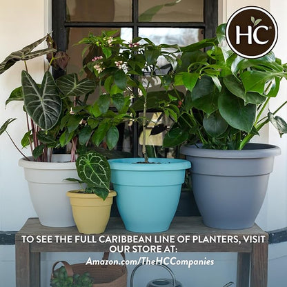 The HC Companies Caribbean Planter Pot - Outdoor & Indoor Plant Pot with Drainage Hole & Plug - Rolled Rim Plastic Pots for Plants & Flowers - Decorative Plant Pot (16" Clay, Pack of 2)
