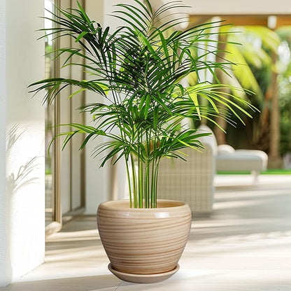Planter Pot 8 Inch - Ceramic Pot for Plants Indoor Plant Pot with Drainage Hole and Saucer Round Planter Outdoor Modern Flower Pot Succulent Pot for House Patio Yellow