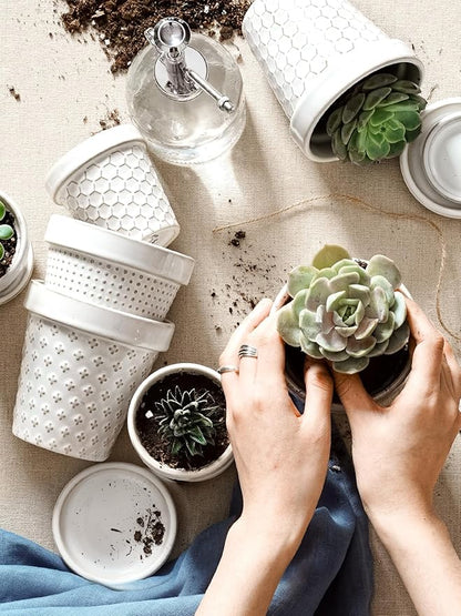 LE TAUCI Succulent Pots, Cute Indoor Plant Pot with Saucer, 3 Inch Mini Ceramic Flower Pots with Drainage, for Plant Lover or Mothers Day,Housewarming, Decorative Lovely Planter for Cactus,Set of 4