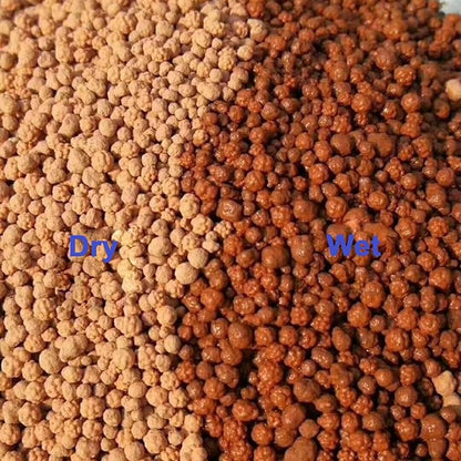 2.5lb Multi-Purpose Calcined Nutrient Soil for Lithops Succulent Cactus Promote Root Growth - Concave-Convex Shape Soil for Healthier, Stronger, and Larger Roots