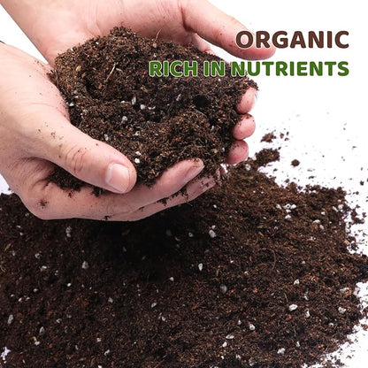Premium Lucky bamboo Soil Mix 4qt, Indoor Plants Potting Mix for All Potted Luncky bamboo, Promote Healthy Growth and Longevity