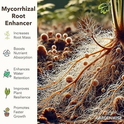 Organic Liquid Plant Food for Indoor Houseplants – All Purpose Fertilizer for Potted Plants, Vegetables, Succulents, Orchids, Roses – Miracle Growth with Mycorrhizae (16 oz)