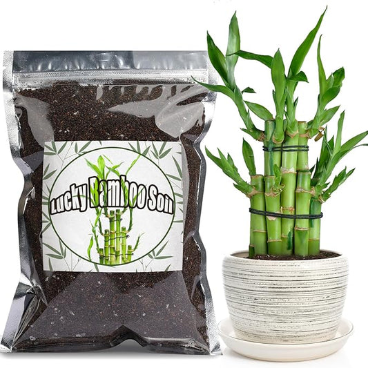 Premium Lucky bamboo Soil Mix 10qt, Indoor Plants Potting Mix for All Potted Luncky bamboo, Promote Healthy Growth and Longevity