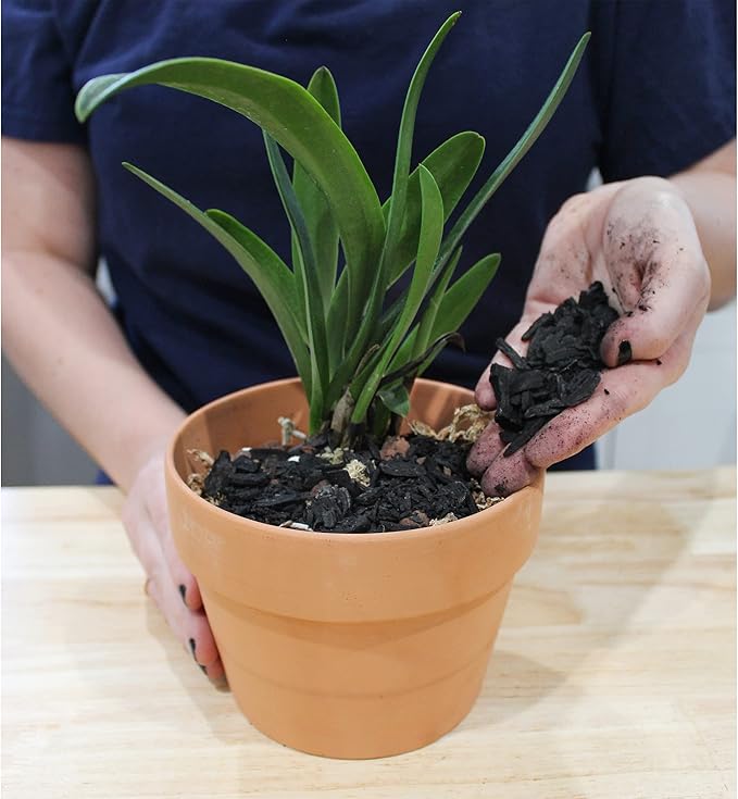 Horticultural Charcoal for Indoor Plants (2 Quarts), Hardwood Soil Additive for Orchids, Terrariums, and Gardening