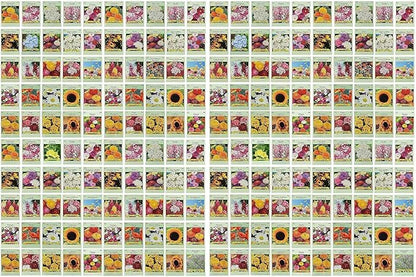 Black Duck Brand Set of 200 Flower Seed Packets! Flower Seeds in Bulk - Best Value Seeds - Great for Classrooms, Beginner Gardeners and Kids! - Deluxe Varieties! (200)