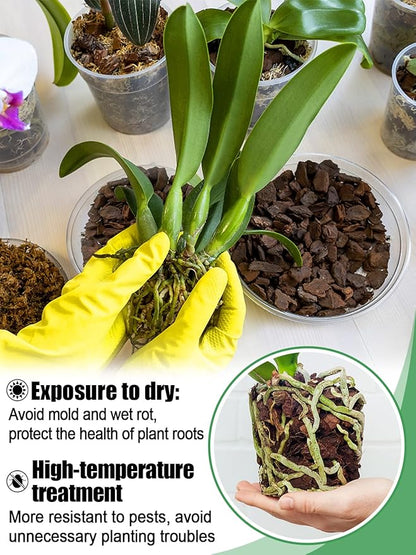 10 Quarts Orchid Potting Bark, Sun-Dried New Zealand Medium Organic Pine Wood Chip Barks for Orchids Mix Plant Compost, Natural Houseplant Mulch for Plant Development
