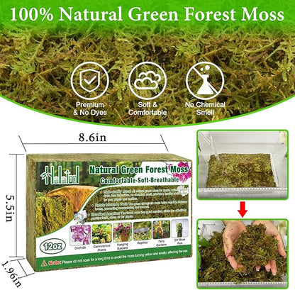 Halatool 0.75LB Green Forest Moss for Plant Indoor- 18QT Natural Orchid Moss Sphagnum for Potting Mix, Real Dry Moss for Repotting Potted Plants Orchids Succulent Carnivorous Cactus Pothos