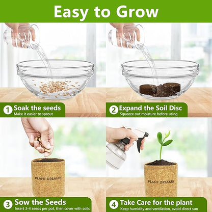Bonsai Tree Kit, Bonsai Starter Kit with 4 Bonsai Tree Seeds, Tools & Planters, Bonsai Tree Live Plants Indoor, Gardening Gifts for Women Men Mom Father Plant Lover, Unique Christmas Gifts