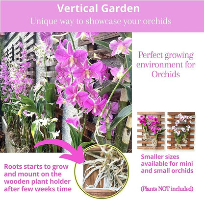 ShopLaLa Wall Planter-2 Pack Wooden Hanging Planters for Indoor Plants,Wall Mounted Plant Stand Ladder Outdoor Vertical Garden Balcony Unique Live Orchid Planter Large Dark Brown Wall Decorations