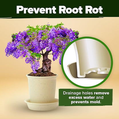 HOME GROWN Bonsai Tree Kit, Grow Your Own: Premium 4 Bonsai Trees Starter Kit | Unique Japanese Gardening Gift for Moms, Women, Men, Beginners & Gardeners | Creative Crafts for Adults BK1-2nd-MF