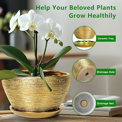 Ceramic Planter 13 Inch - Indoor Plant Pot with Drainage Hole and Saucer Large Ceramic Pot for Plants Mid-Century Decorative Modern Outdoor Flower Pot for Home Decor Gold