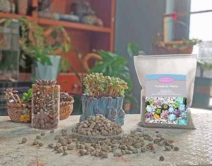 Horticultural Pumice for Plants 2QT, Natural Organic Pumice Stones for Succulent Cactus Bonsai Tree Orchid Potting Mixed, Improves Soil Aeration and Drainage, Promotes Root