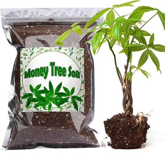 Organic Money Tree Soil Mix 4qt, Indoor Plants Potting Mix for All Potted Money Tree, Grow Healthy houseplants Indoors