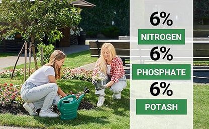 6-6-6 All-Purpose Professional Plant Food Fertilizer; Ideal for Winter Care & Spring Feeding, Perfect Balanced NPK for Indoor and Outdoor Plants (1 Quart)