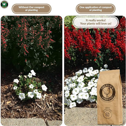 Charlie's Compost - Organic Fertilizer for Home Gardens, Raised Beds, Containers, Natural Soil Amendment with Biochar 10lb