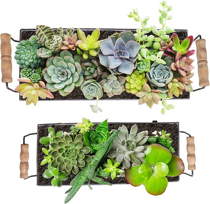 Galvanized Metal Trough Succulent Planter Farmhouse Metal Tray Rustic Tabletop Centerpiece Décor Set of 2
