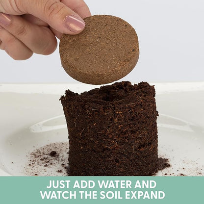Potting Soil for Indoor/Outdoor Plants, Expands to Fit 3 Inch and 4 Inch Pots - 24 Pack