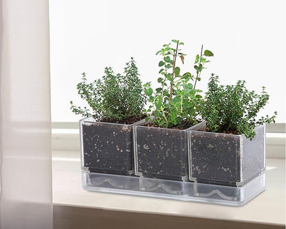D'vine Dev Herb Garden Planter Set, Plastic Plant Pots with Drainage and Saucer, Indoor Succulent Cactus Vegetable Pot for Windowsill, Garden Balcony, Clear, Set of 1, 76-V-D-1