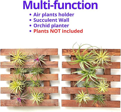 ShopLaLa Wall Planter - 2 Pack Wooden Hanging Succulent Wall Decor, Live Air Plants Orchids Wall Mounted Holder Frame Display for Indoor Outdoor, Living Plant Wall Decor Balcony Garden