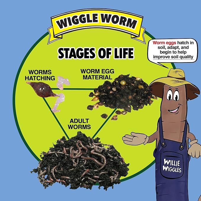 Raised Bed Mix, 40 Pound Bag - Worm Egg Material Mixed with Odor Free Wiggle Worm Pure Worm Castings - All Organic - Ready to Add Direct to Raised Bed, Planter, etc.