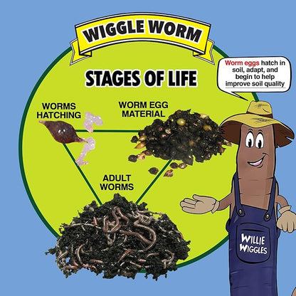 Raised Bed Mix, 40 Pound Bag - Worm Egg Material Mixed with Odor Free Wiggle Worm Pure Worm Castings - All Organic - Ready to Add Direct to Raised Bed, Planter, etc.