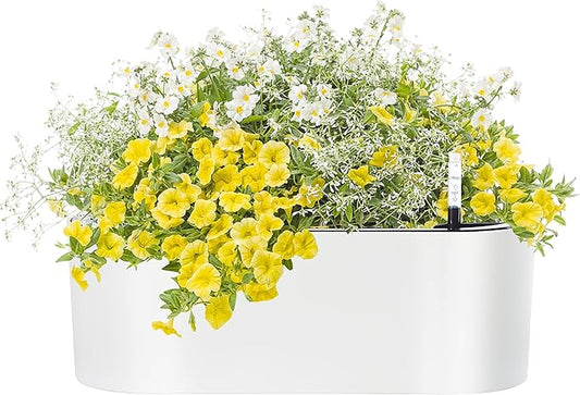 SAROSORA 16" Oval Self Watering Planter with Water Level Indicators for Plants & Flower Home Garden Outdoor Indoor Succulent | Herb pots | Window Box (1, Oval, White)