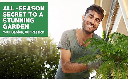 8-4-8 Professional Palm Tree Fertilizer Plant Food; for Indoor Potted Plants and Outdoor Landscape Palm Trees; Quick-Release Nitrogen Fertilizer and Continuous Feeding (1 Quart)