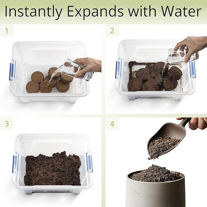 Coconut Coir Potting Soil for Indoor Plants - Expands to 5 Quart (11 lb) | Perfect for General Houseplants, Herbs, and Bonsai Trees - Expands with Water