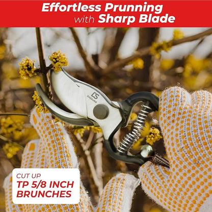 DAESUNG Bypass Pruning Shears For Gardening, Bypass Pruner For Gardening Heavy Duty, Bypass Pruners, Garden Shears Pruning Heavy Duty, with 5/8 Inch Cutting Capacity VGS-001 (Made in Vietnam)