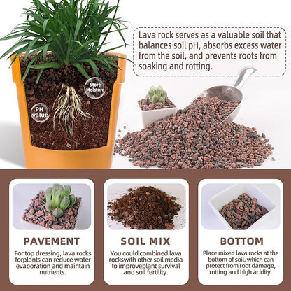 7lb Mix Lava Rocks for Plants-Horticultural Volcanic Rock Gravel for Landscaping Plants Drainage, Succulents, Bonsai, Vase Fillers, Terrarium Plants, Top Dressing