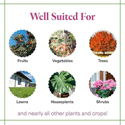 Grow More All-Season's Plant Food (20-20-20 Fertilizer) - 5lbs of All Purpose Fertilizer - Water Soluble Fertilizer Plant Food for Houseplants & Outdoor Plants with Chelated Micronutrients