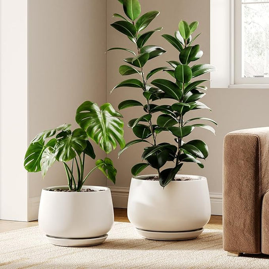 LE TAUCI Ceramic Plant Pots, Set of 2, 10 Inch 12 Inch Planters for Indoor Plants, Elegant Decorative Flower Pot, Sturdy Large Planter with Drainage Tray, Suitable for Porch, White