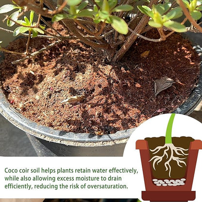 Coco Coir for Organic Coconut Coir- 12 Pack Coco Coir Brick- Coconut Soil with Low EC & PH Balance-Coco Fiber for Herbs& Flowers- High Expansion-Renewable Coco Soil for Planting