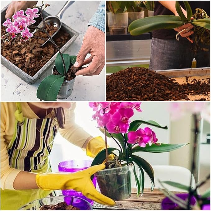 Orchid Potting Mix Orchid Bark, Mix Pine Bark and Perlite, Good Drainage and Water Retention (10 Quart)