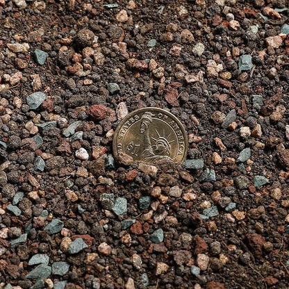 Succulent and Cactus Soil Potting Mix 1.1 LBS, Bonsai Soil Mix Ready to Use, Fast Draining with Added Nutrients