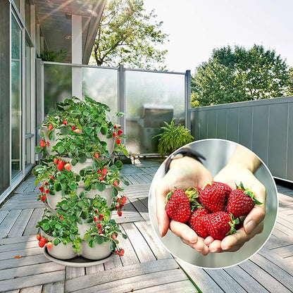 Amazing Creation Stackable Planter, Vertical Oasis Tiered Garden Planter, Grow Vegetables, Herbs, and Succulents with Ease