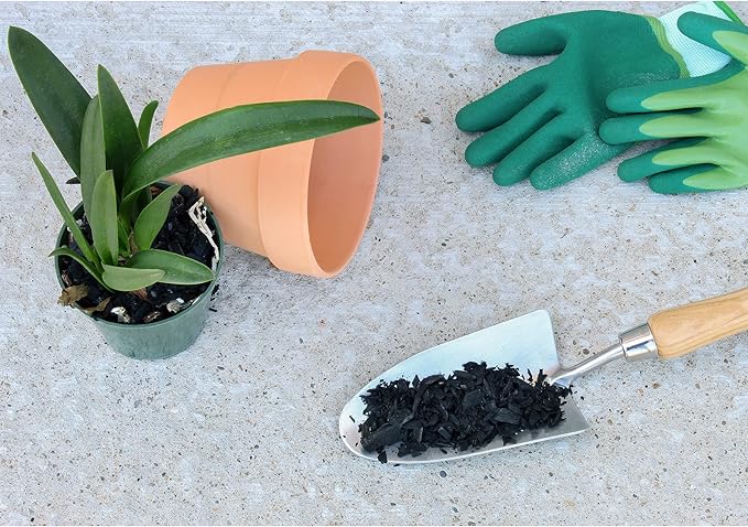 Horticultural Charcoal for Indoor Plants (2 Quarts), Hardwood Soil Additive for Orchids, Terrariums, and Gardening