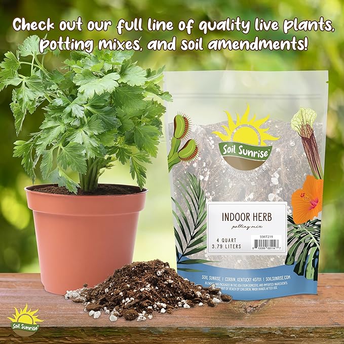 Horticultural Charcoal for Indoor Plants (2 Quarts), Hardwood Soil Additive for Orchids, Terrariums, and Gardening