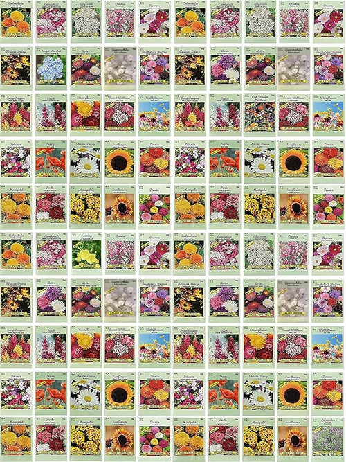 Black Duck Brand Set of 100 Flower Seed Packets! Flower Seeds in Bulk - Best Value Seeds - Great for Classrooms, Beginner Gardeners and Kids! - Deluxe Varieties! (100)