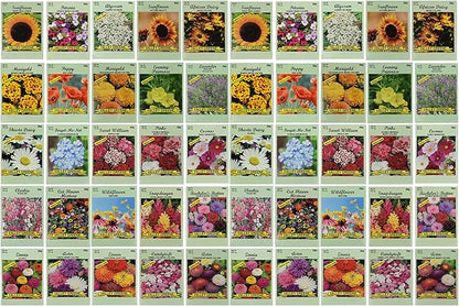 Set of 50 Flower Seed Packets! Flower Seeds in Bulk, 15 or More Varieties Available!