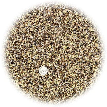 Premium 13-3-13 All-Season Fast Acting Landscape and Ornamental Fertilizer by Gardenera - Promotes Biomass Growth and Vibrant Leaf Color - 3 Quart