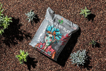 High Drainage Succulent Soil Potting Mix with Coffee Compost & Mycorrhizhal Fungi - 4 Dry Quarts - Slighly Acidic, Gritty Soil for Edgy Plants - Spike & Bloom
