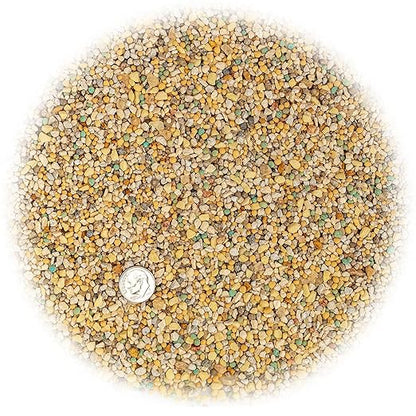 8-4-8 Fertilizer - Promote Vibrant Colors and Robust Growth in Palms, Ixora, and Ornamentals - 3 QUARTS